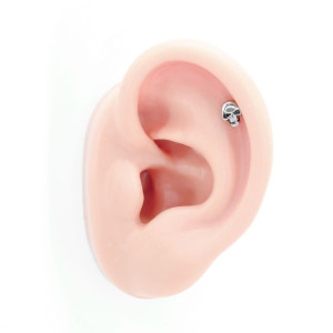 Интернал-лабрета 1,2 мм (набор). Череп. LI2293