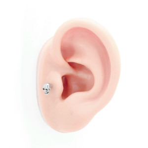 Интернал-лабрета 1,2 мм (набор). Череп. LI2293