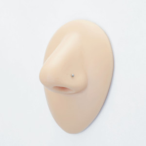 Нострила улитка. Титан. NSSTТ