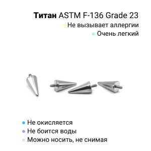Интернал-конус 3 х 6 мм для украшений со стержнем 1,2 мм (резьба 0,9 мм). Титан. TBSI0936