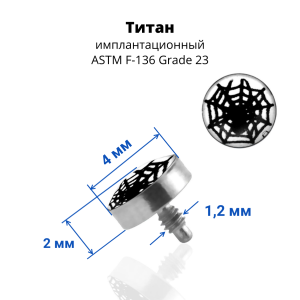 Интернал-накрутка для микродермалов и пирсинга с стержнем 1,6 мм Паук. Титан. TALG13