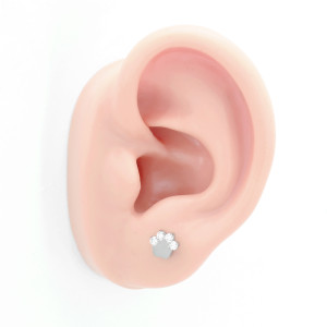 Интернал-лабрета 1,2 мм. Лапка. Титан. ILBT5677