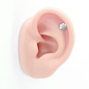 Интернал-лабрета 1,2 мм. Лапка. Титан. ILBT5677