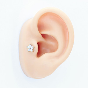 Интернал-лабрета 1,2 мм (набор). Цветок, опалы. LI0393