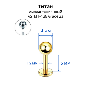 Интернал-лабрета 1,2 мм. Титан, золотое анодирование. ILBBT16G