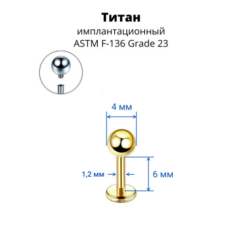 Интернал-лабрета 1,2 мм. Титан, золотое анодирование. ILBBT16G