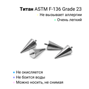 Интернал-конусы 4 х 8 мм (4 штуки) для украшений со стержнем 1,2 мм (резьба 0,9 мм). Титан. TBSI0948-4