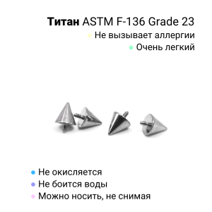 Интернал-конусы 4 мм (4 штуки) для украшений со стержнем 1,2 мм (резьба 0,9 мм). Титан. TBSI094-4