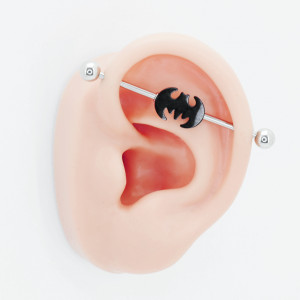 Штанга индастриал 1,6 мм разборная. Batman. BI5485