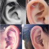Кольцо-Daith сердце 1,2 мм. RDHR16