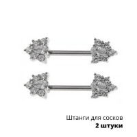 Украшения для пирсинга сосков. Пара. SNP764-2