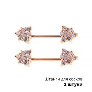 Украшения для пирсинга сосков. Пара. SNP764-2