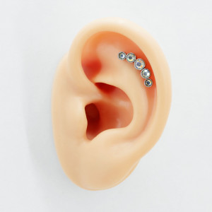 Штанга 1,2 мм. Пять кристаллов, 15,5 х 6 мм. BBER0874