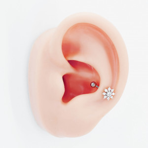 Микробанан 1,2 мм. Цветок. BNE1056