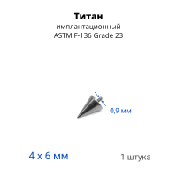 Интернал-конус 4 х 6 мм для украшений со стержнем 1,2 мм (резьба 0,9 мм). Титан. TBSI0946