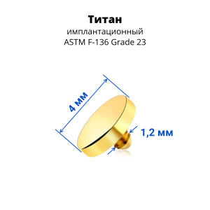 Интернал-накрутка для микродермалов и пирсинга с стержнем 1,6 мм Круг. Титан. IE1005