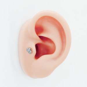 Интернал-лабрета 1,2 мм. Пчелка. IL8325