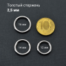 Кольцо сегментное 2,5 мм кликер. Титан. HSEGT10