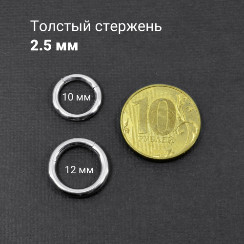 Кольцо сегментное 2,5 мм кликер. Титан. HSEGT10