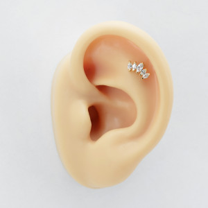 Штанга 0,8 мм. Корона. BBER4753