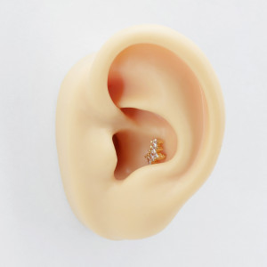 Штанга 0,8 мм. Корона. BBER4753