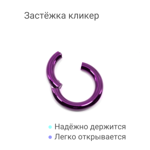 Кольцо сегментное 4,0 мм кликер. Титан, фиолетовое анодирование. HSEGT6DV