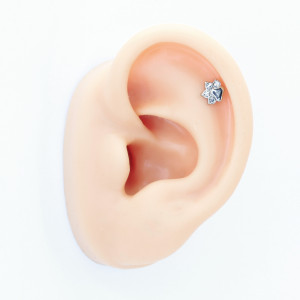 Интернал-лабрета 1,2 мм. Лапка. IL7847