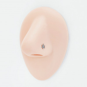 Нострила гвоздик 0,5 мм. Лист. SNP181